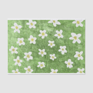 Green Moss und Daisy Illustration Seidenpapier