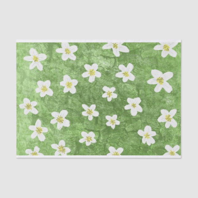 Green Moss und Daisy Illustration Seidenpapier (Vorderseite)