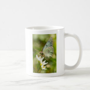Green Moth on False Knolic Apparel and Gifts Tasse