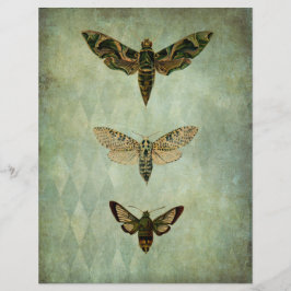 Green Moths Vintag Style Scrapbook Ephemera