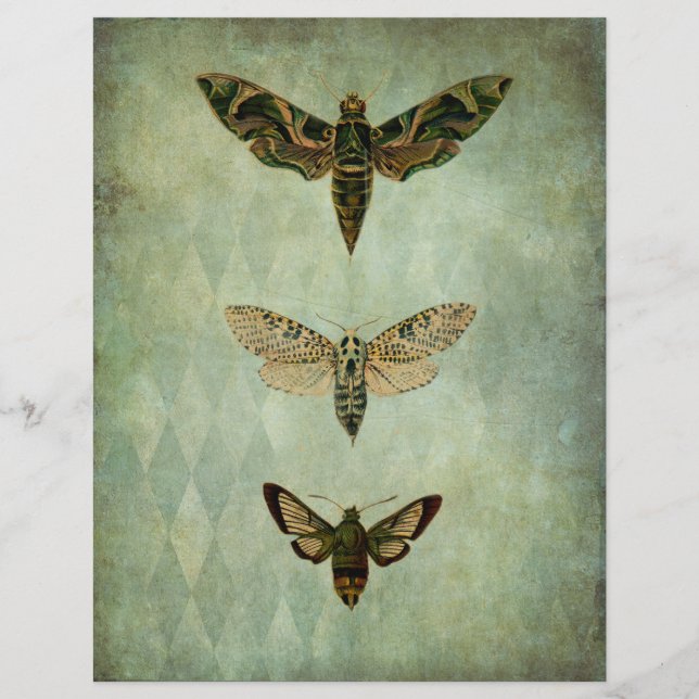 Green Moths Vintag Style Scrapbook Ephemera (Vorderseite)
