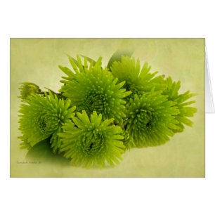 Green Mums Card