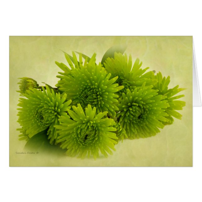 Green Mums Card (Vorderseite (Horizontal))
