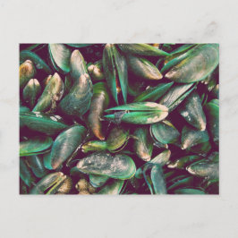 Green Mussels Postkarte