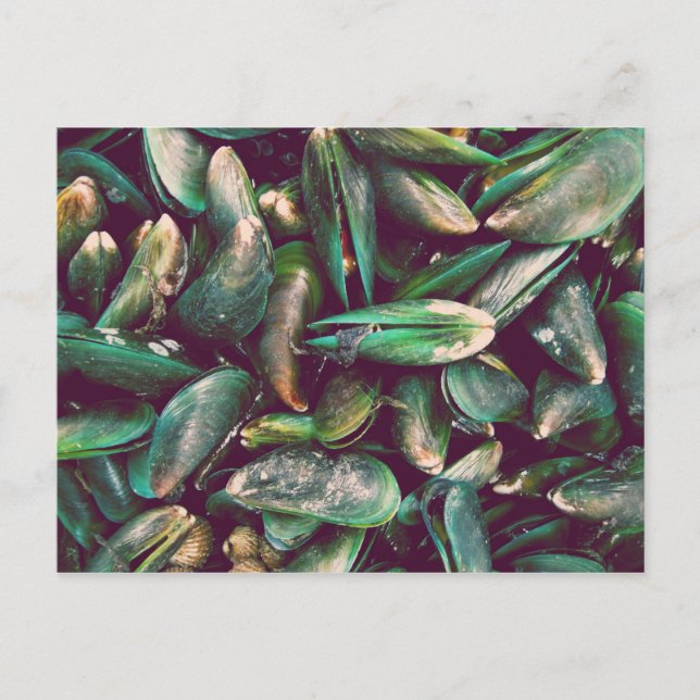 Green Mussels Postkarte (Vorderseite)