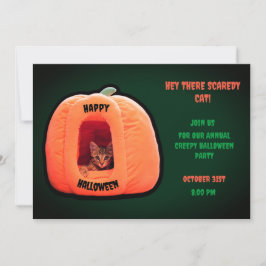 Green Niedlich Cat Orange Pumpkin Kitten Halloween Einladung