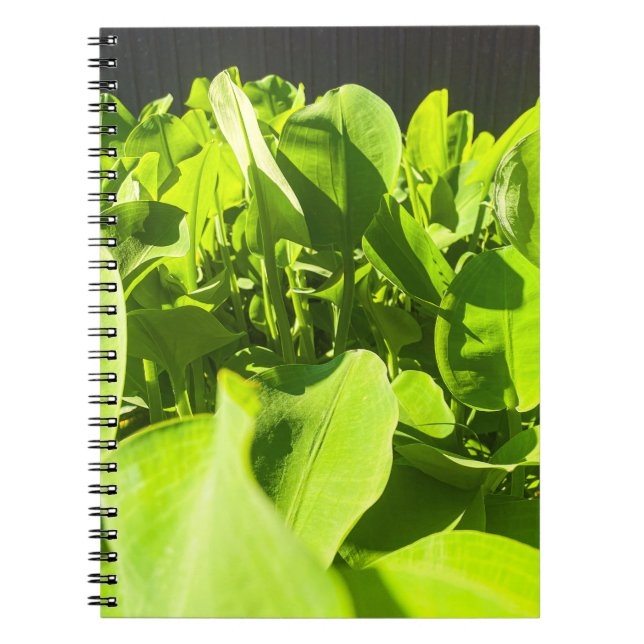 Green Oasis Notebook - Lush Green Pflanze Design Notizblock (Vorderseite)