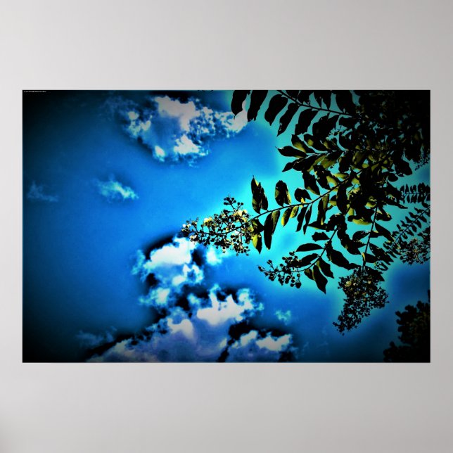 Green on Blue, Poster (Vorne)