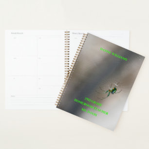 Green Orb Weaver Spider on Web School Klassroom Planer