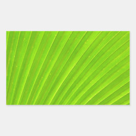 Green Palm Leaf Sticker