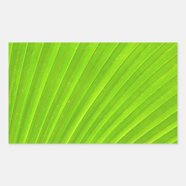 Green Palm Leaf Sticker (Vorderseite)