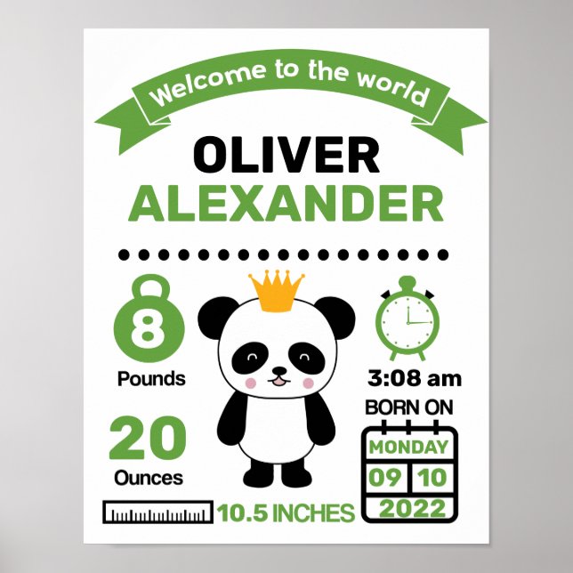 Green Panda Baby Birth Statistics Poster (Vorne)