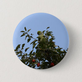 Green Parakeet Button