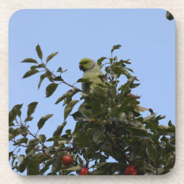 Green Parakeet Getränkeuntersetzer