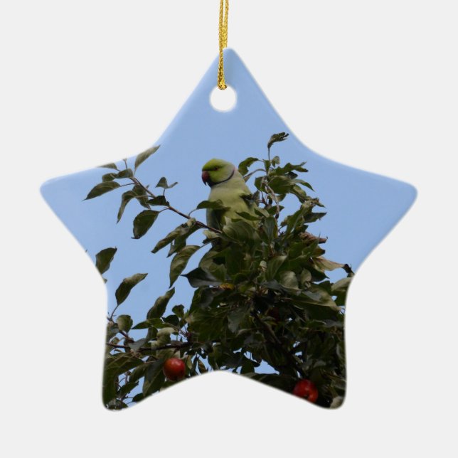 Green Parakeet Keramik Ornament (Vorne)