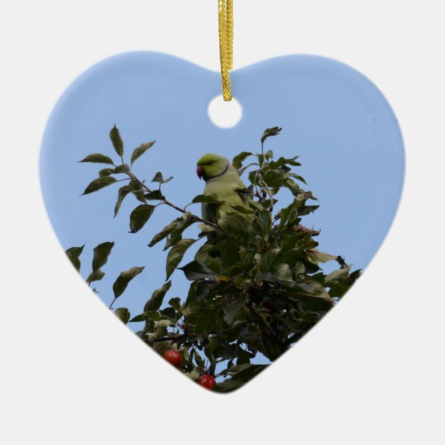 Green Parakeet Keramikornament (Vorne)