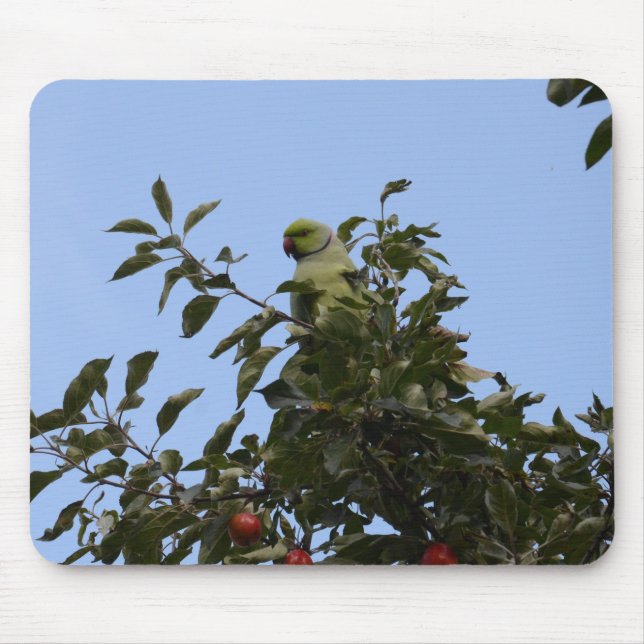 Green Parakeet Mousepad (Vorne)