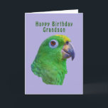Green Parrot Geburtstagskarte, Grandson Karte<br><div class="desc">Dieser grüne Ara gehört zur Papageienfamilie und macht eine bunte Geburtstagskarte für einen Enkel.</div>