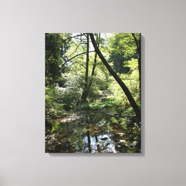 "Green Peace", Muir Woods Leinwanddruck (Vorderseite)