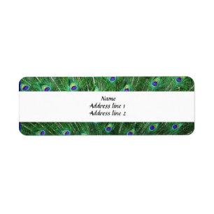 Green Peacock Feather Address Labels