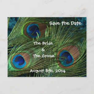 Green Peacock Feathers Save the Date Ankündigungspostkarte