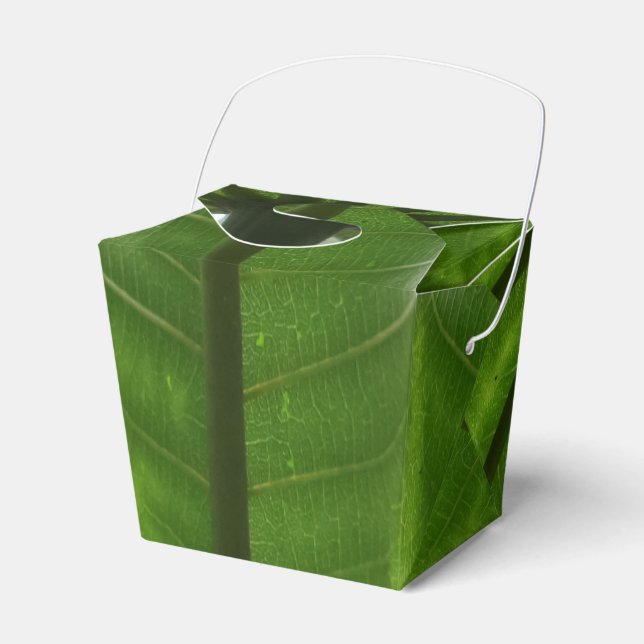 Green Pflanze Take Out Gefallen Box Geschenkschachtel (Vorderseite)