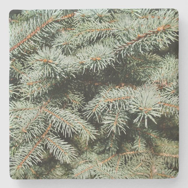 Green Pine Limbs Square Untersetzer (Vorderseite)