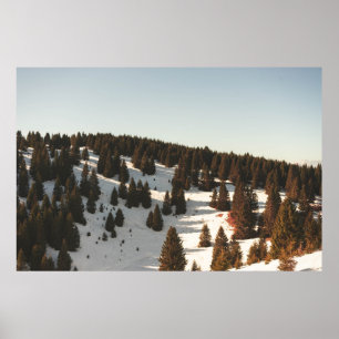 GREEN PINE TREES POSTER