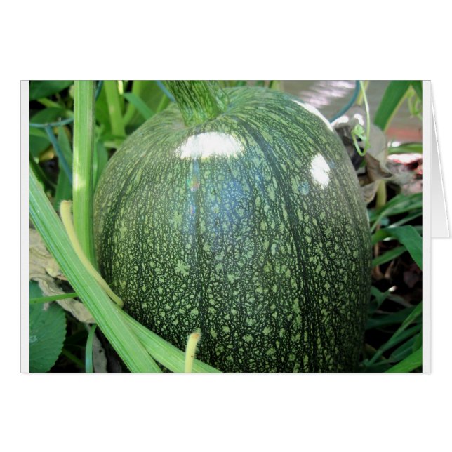 Green Pumpkin (Vorderseite (Horizontal))