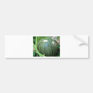 Green Pumpkin Autoaufkleber