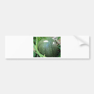Green Pumpkin Autoaufkleber
