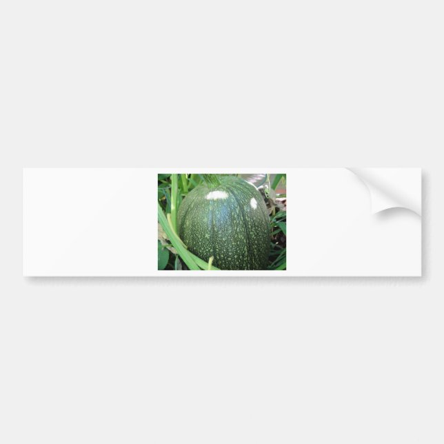 Green Pumpkin Autoaufkleber (Vorne)