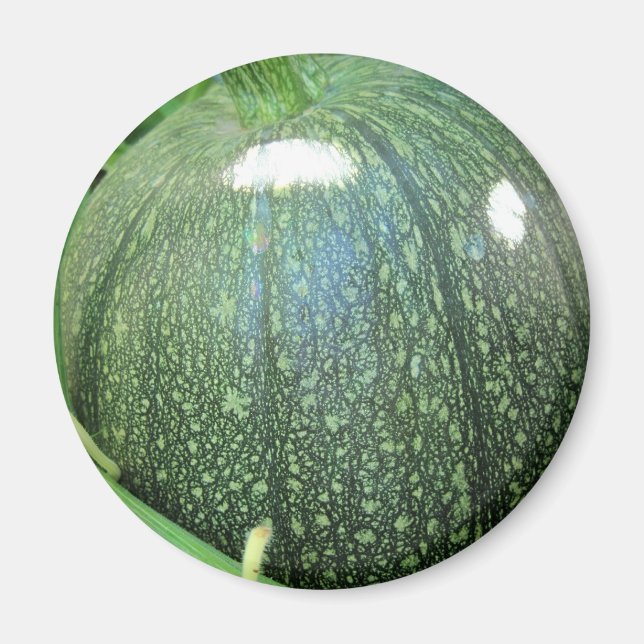 Green Pumpkin Magnet (Vorne)
