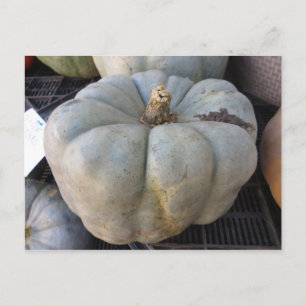 Green Pumpkin Postkarte