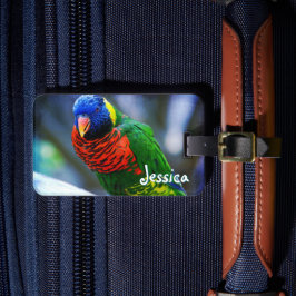 Green Red Blue Lorikeet Bird Individuelle Name Scr Gepäckanhänger