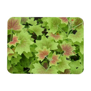 Green/Red Leafs 3"x4"-Magnet Magnet