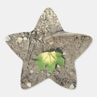Green Reduce Wiederverwendung Gerecycelt