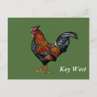 Green Rooster Key West Post Card