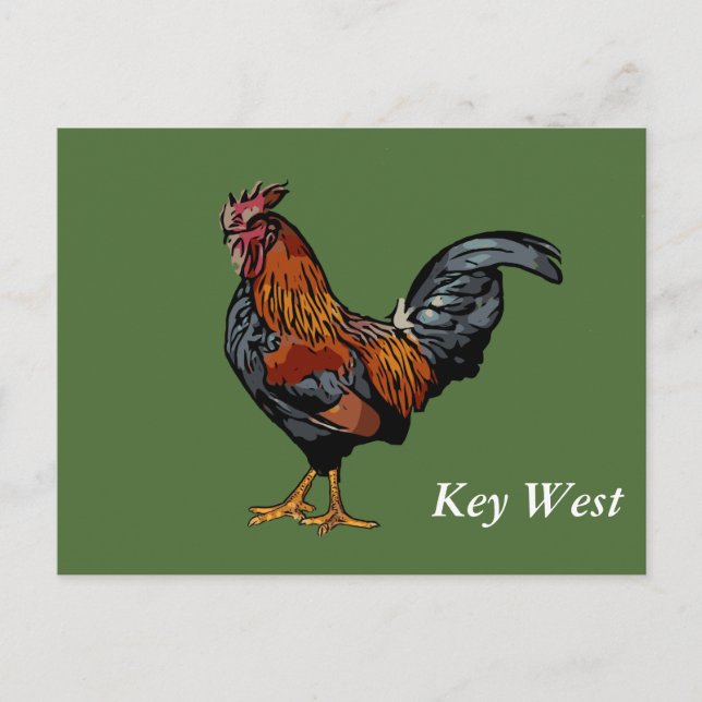 Green Rooster Key West Post Card Postkarte (Vorderseite)