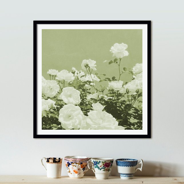 Green Roses Floral Garden Photo Art Print Poster (Von Creator hochgeladen)