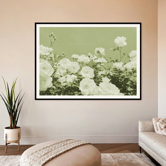 Green Roses Floral Garden Photo Art Print Poster (Von Creator hochgeladen)