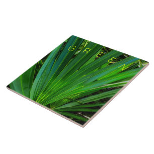GREEN Saw Palmetto Keramik Tile Fliese