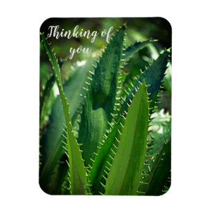 Green Sea Leaf Garden Pflanze Denken Sie Magnet