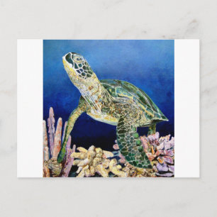 Green Sea Turtle Gazing Postkarte