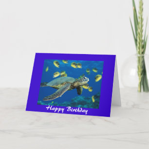 Green Sea Turtle, Happy Birthday Karte