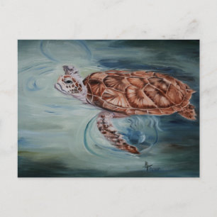 Green Sea Turtle Post Card Postkarte