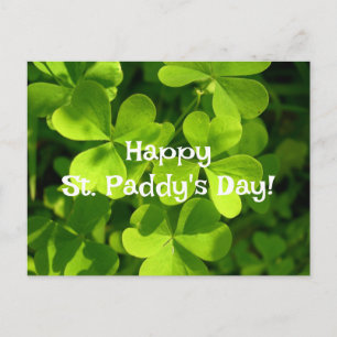 Green Shamrocks, St. Paddy's Day Postcard Postkarte