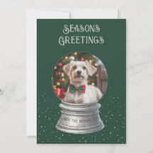 Green Snow Globe Foto Flat Holiday Card