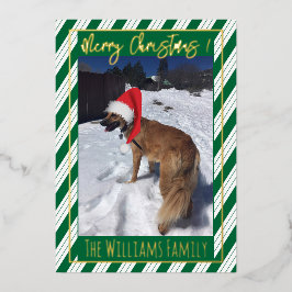 Green Stripes Single Hunde Foto Foil Holiday Card Folien Feiertagskarte