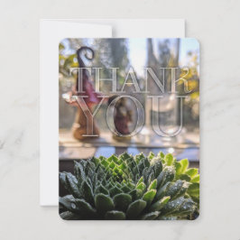 Green Succulent Nature theme Vielen Dank Dankeskarte